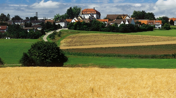 Blick über die Felder um Oggenhausen